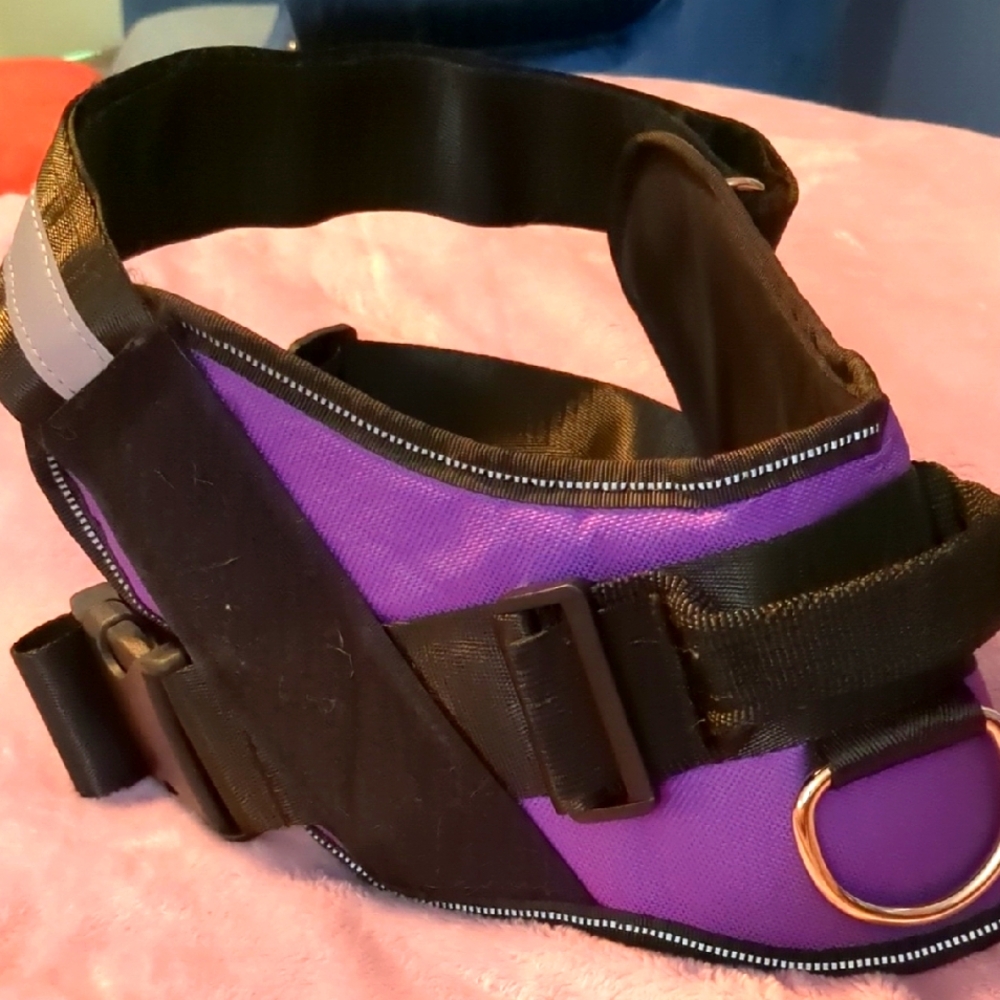 Purple and Black Dog Harness